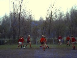 0DIA 1984 RAVA PUPS 1